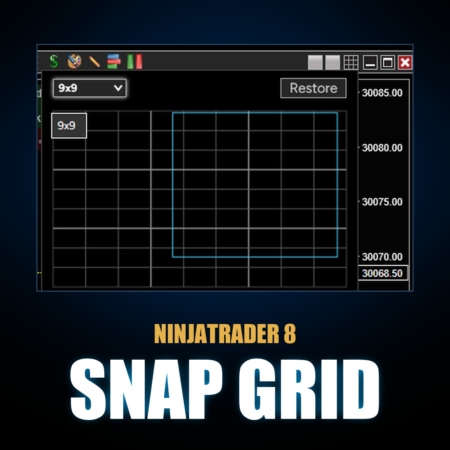 Snap Grid 9x9 picker open on a NinjaTrader 8 chart window